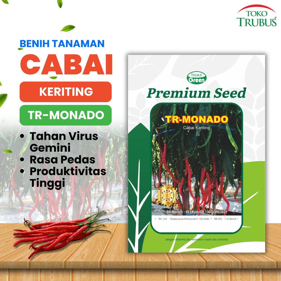 TRUBUS - BENIH TR. CABAI KERITING MONADO