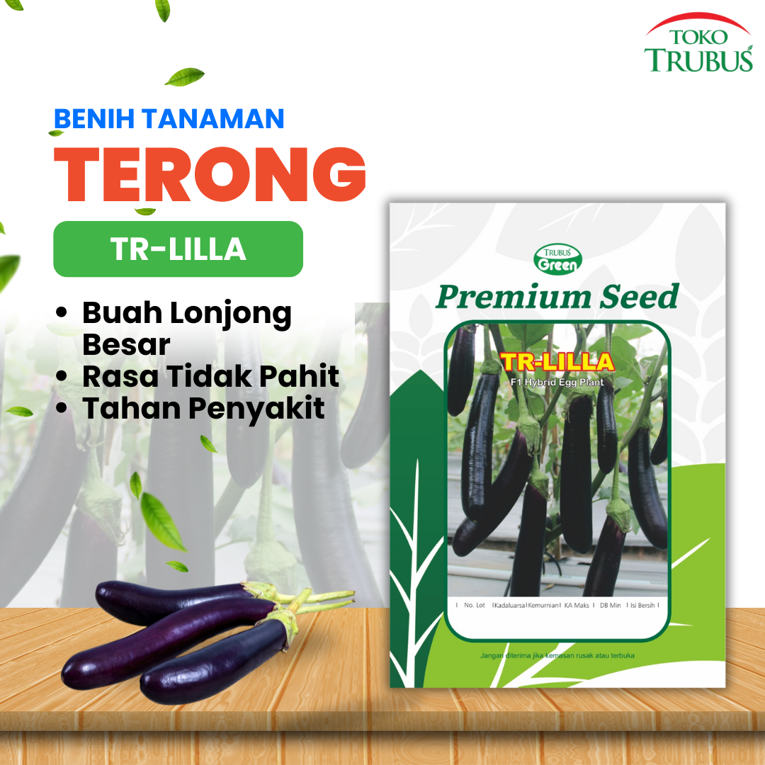TRUBUS - BENIH TR. TERONG F1 LILLA
