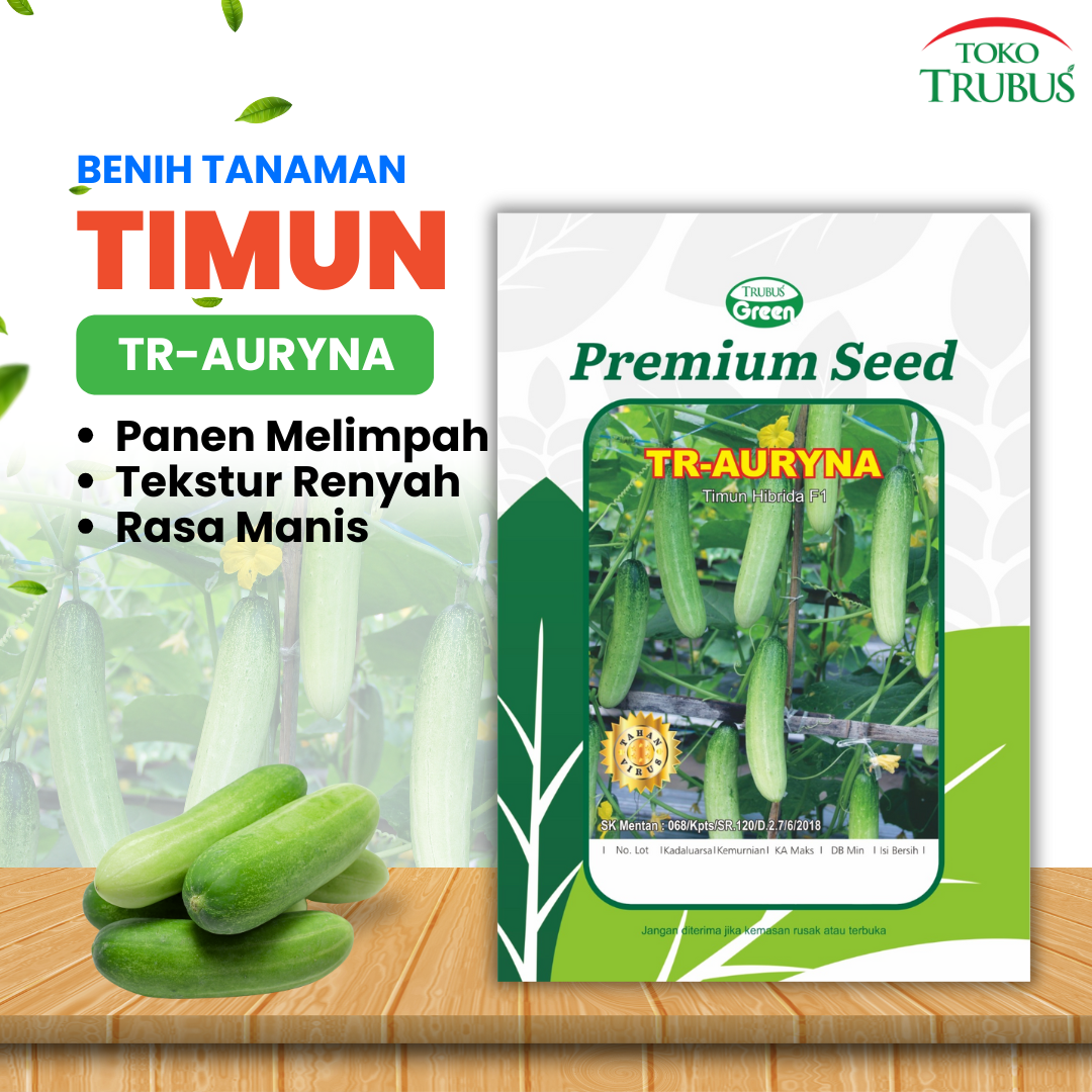 TRUBUS - BENIH TR. TIMUN AURYNA