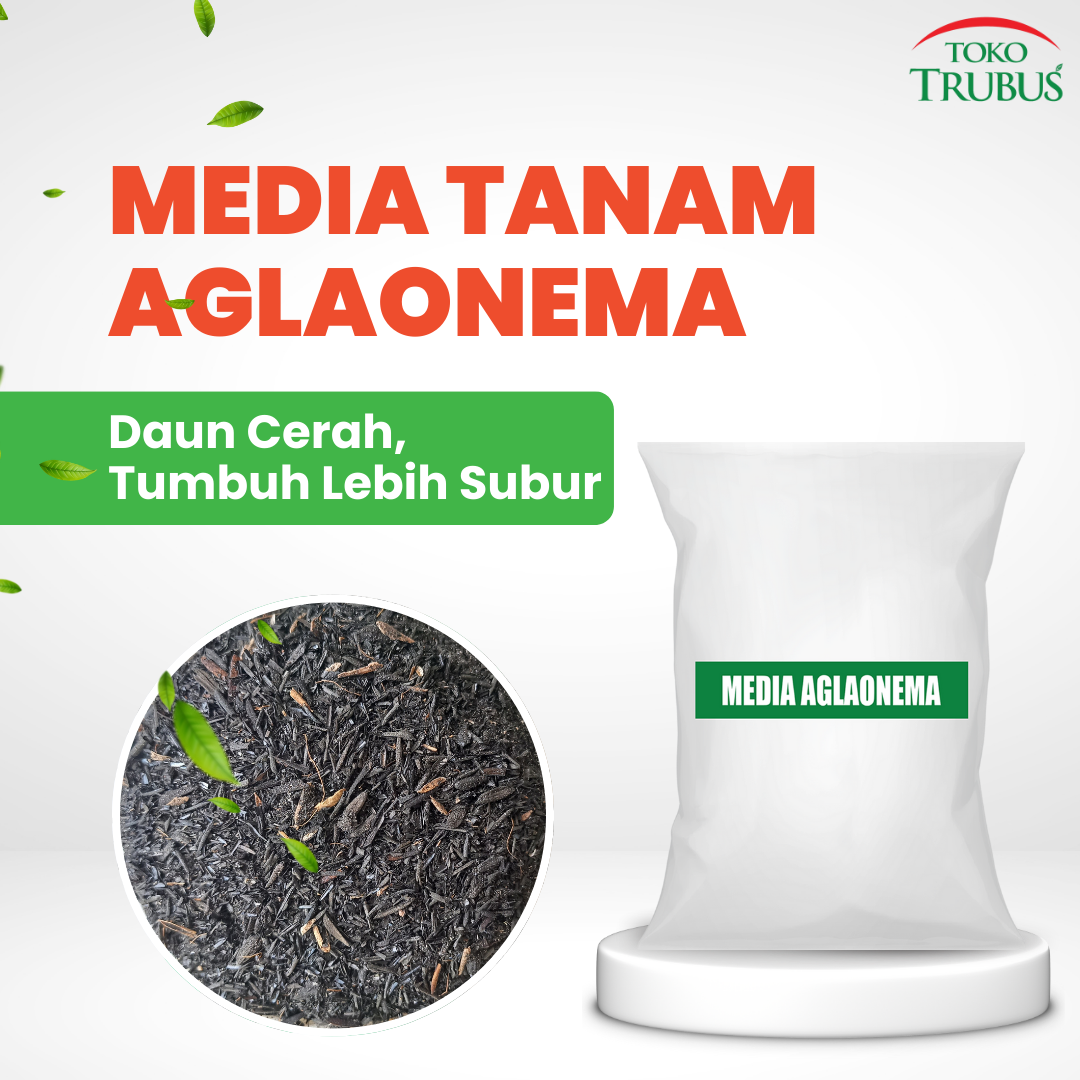 TRUBUS - MEDIA AGLONEMA BAG