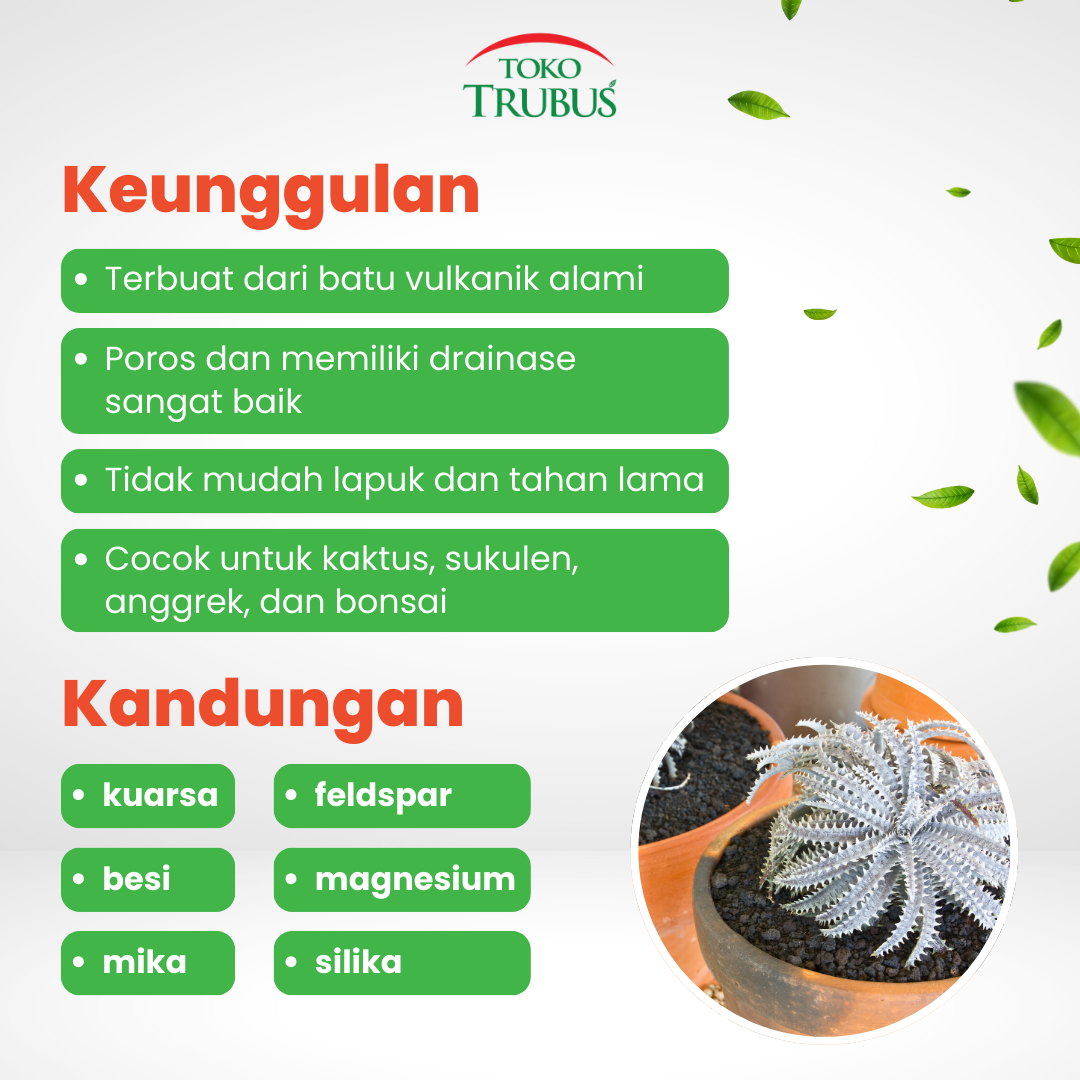 TRUBUS - MEDIA PASIR MALANG